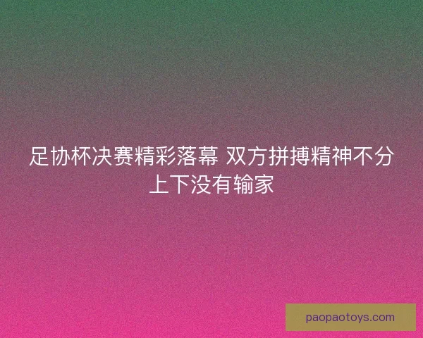 足协杯决赛精彩落幕 双方拼搏精神不分上下没有输家