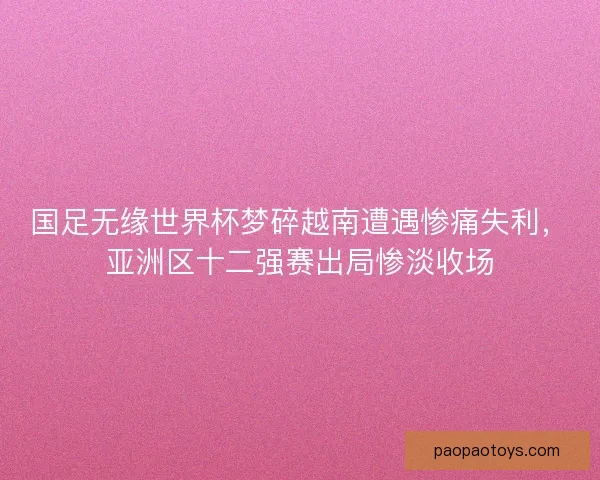 国足无缘世界杯梦碎越南遭遇惨痛失利，亚洲区十二强赛出局惨淡收场